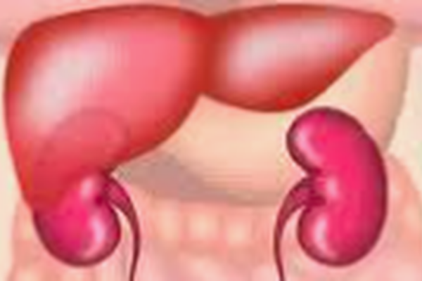 Nhận biết dấu hiệu bệnh trở nặng của xơ gan