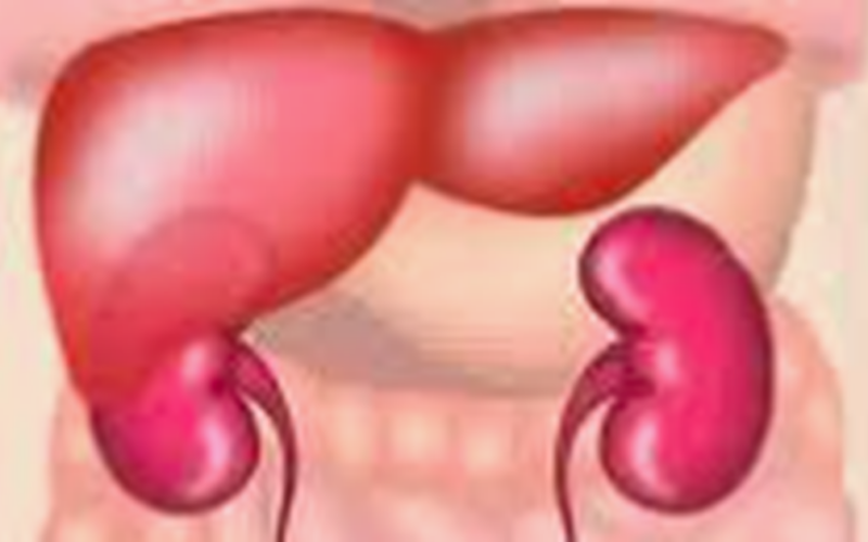 Nhận biết dấu hiệu bệnh trở nặng của xơ gan