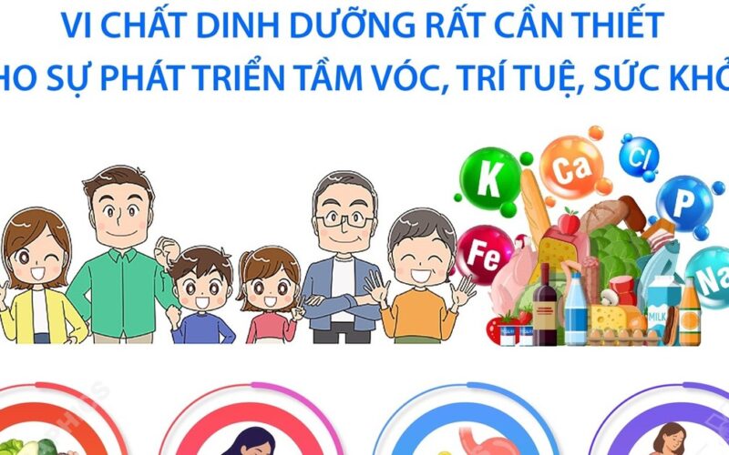 Vi chất dinh dưỡng rất cần thiết cho sự phát triển tầm vóc, trí tuệ, sức khỏe