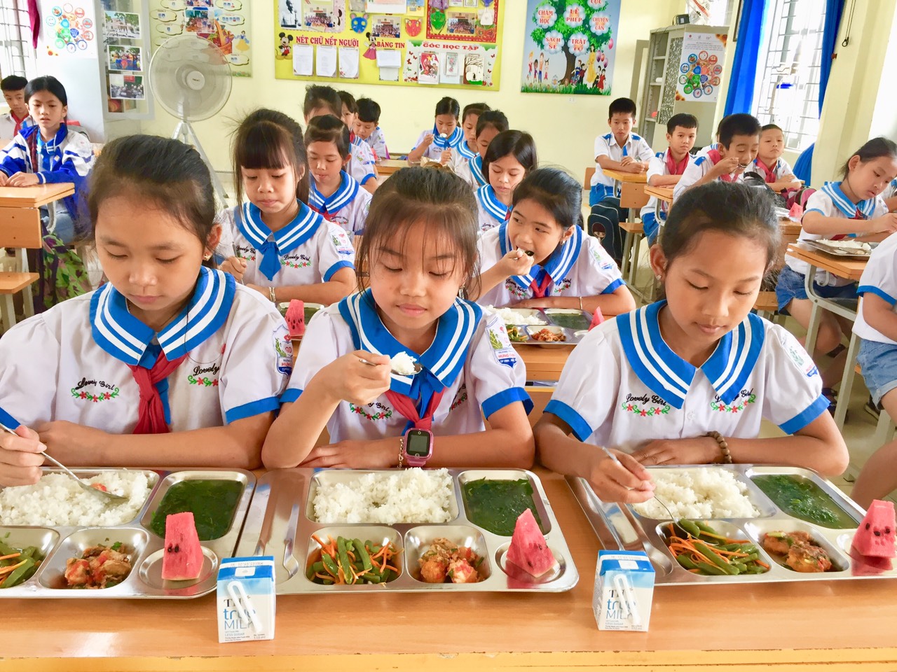 Anh hùng Lao động Thái Hương và những trăn trở về đề xuất xây dựng Luật Dinh dưỡng học đường- Ảnh 3.
