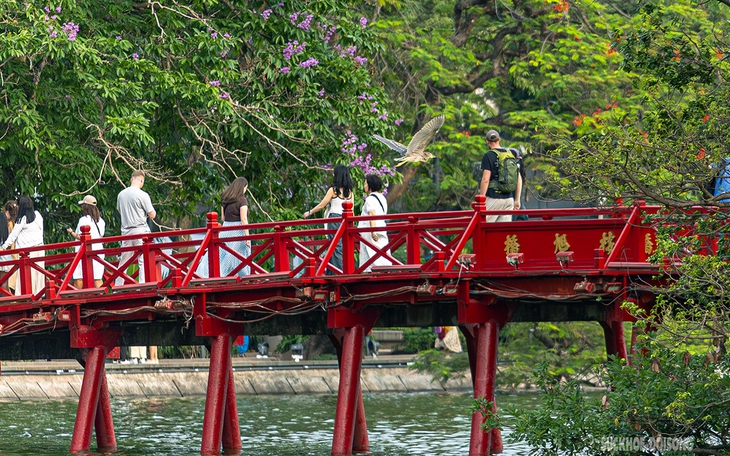 Tái hoang dã không chỉ là mở cửa lồng, thả động vật về rừng- Ảnh 2.