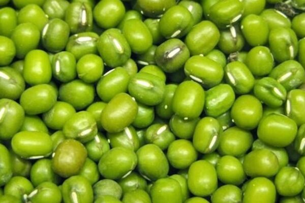 Cách kết hợp đậu xanh giúp thanh nhiệt, hỗ trợ tiêu hóa