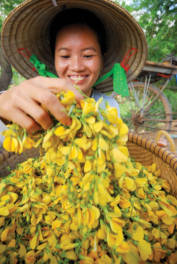 nhung-mon-ngon-thuoc-quy-tu-bong-dien-dien1497771388 Tác dụng của hoa và cây điên điển - Ảnh 2.