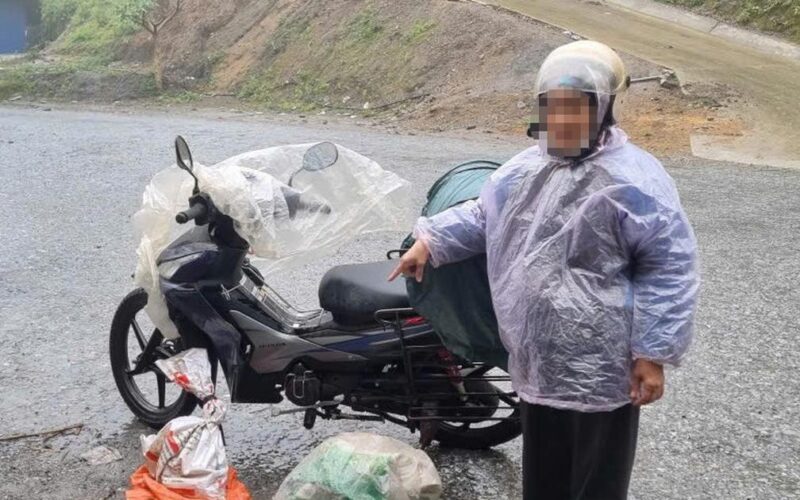Khởi tố vụ mua bán trái phép 1 cá thể rắn hổ chúa