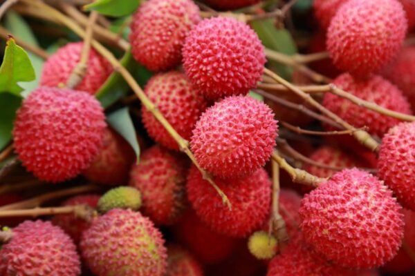 4 nhóm người không nên ăn nhiều quả vải