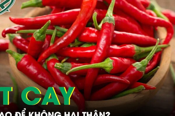 Ăn ớt cay thế nào để không gây hại thận và sức khỏe?