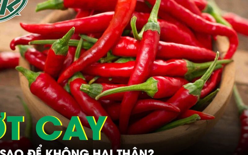 Ăn ớt cay thế nào để không gây hại thận và sức khỏe?