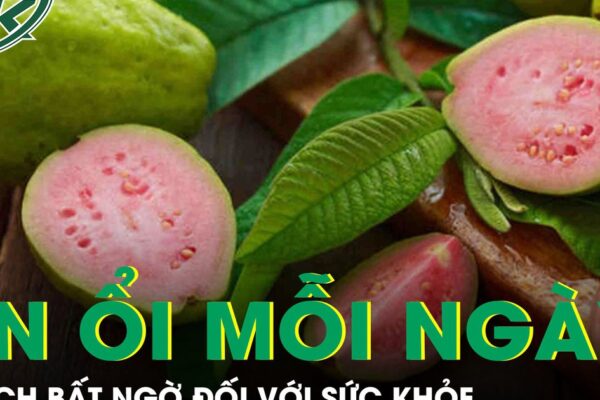 Tác dụng không ngờ của việc ăn 1-2 quả ổi mỗi ngày