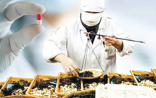 Thuốc y học cổ truyền mới chiếm hơn 5% chi BHYT, đề xuất mở rộng danh mục thanh toán
