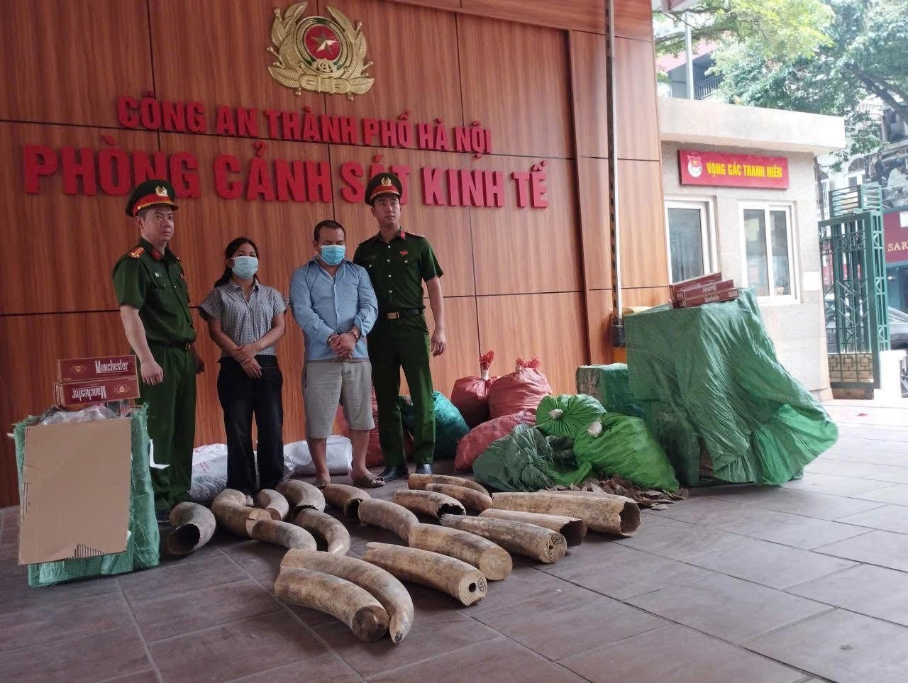 Từ 5 chiếc đầu chim Hồng Hoàng, công an khám phá đường dây buôn ngà voi cực lớn- Ảnh 1.