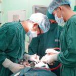 Bà Rịa – Vũng Tàu sẽ trở thành cụm y tế chuyên sâu của TPHCM