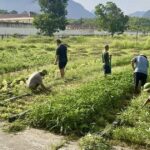 Khoảng trống sau điều trị và vai trò của phục hồi chức năng cho người bệnh tâm thần