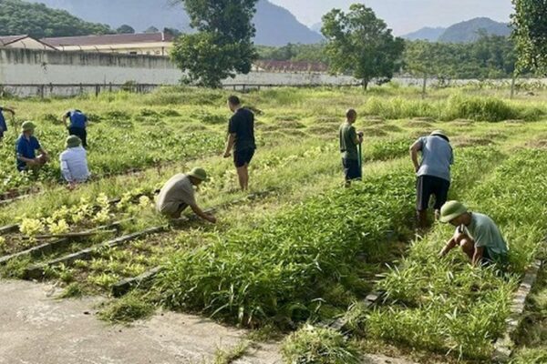 Khoảng trống sau điều trị và vai trò của phục hồi chức năng cho người bệnh tâm thần