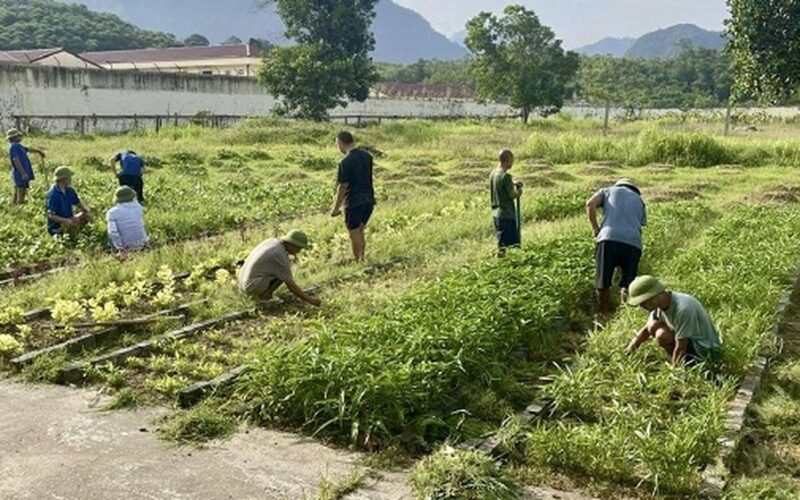 Khoảng trống sau điều trị và vai trò của phục hồi chức năng cho người bệnh tâm thần