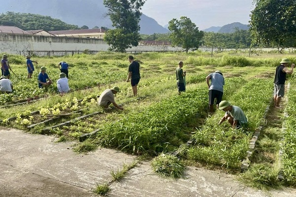 Khoảng trống sau điều trị và vai trò của phục hồi chức năng cho người bệnh tâm thần- Ảnh 1.