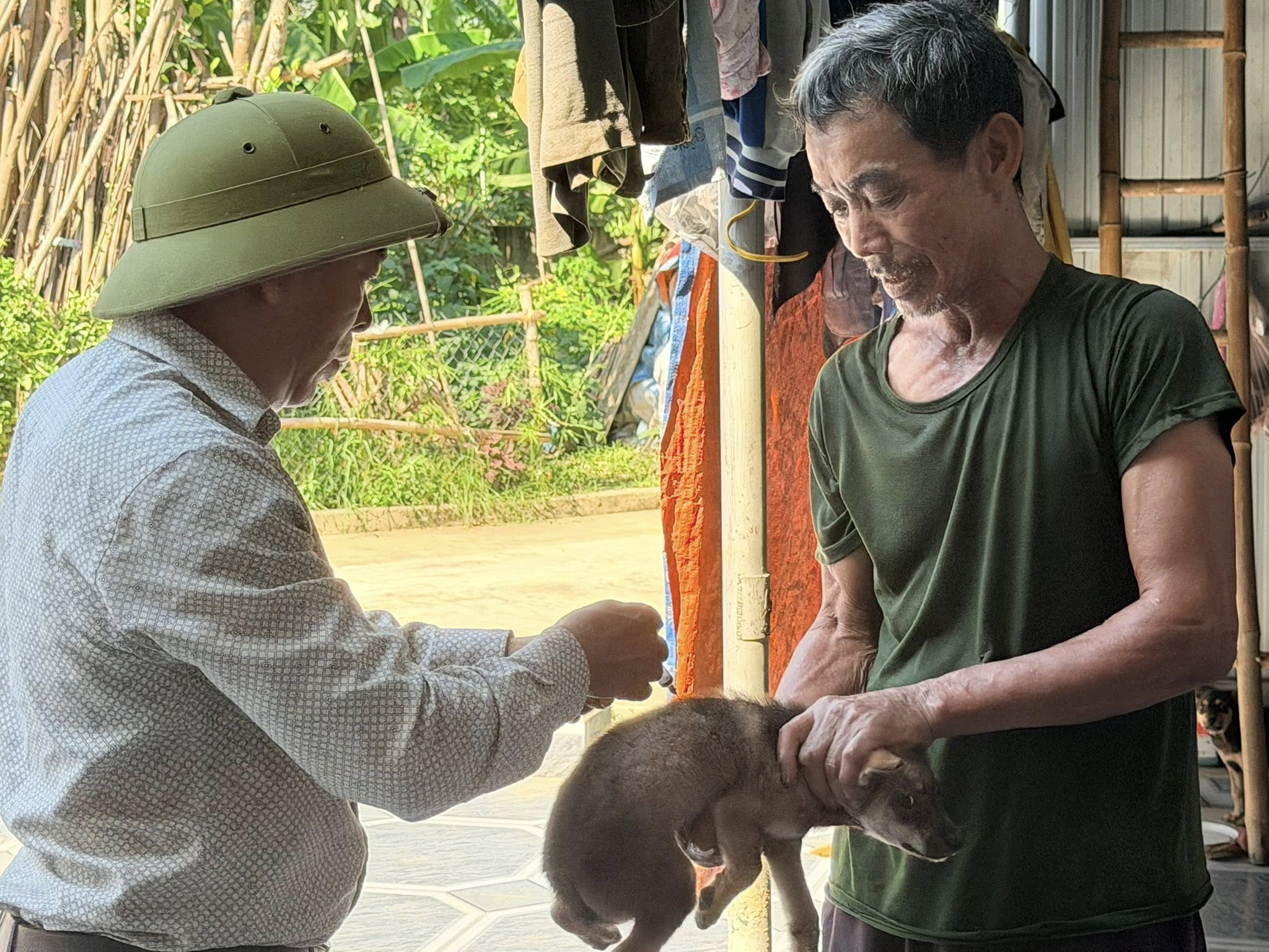 Nguy cơ bệnh dại gia tăng mùa nắng nóng, cần tiêm phòng ngay khi bị chó mèo cắn
- Ảnh 3.