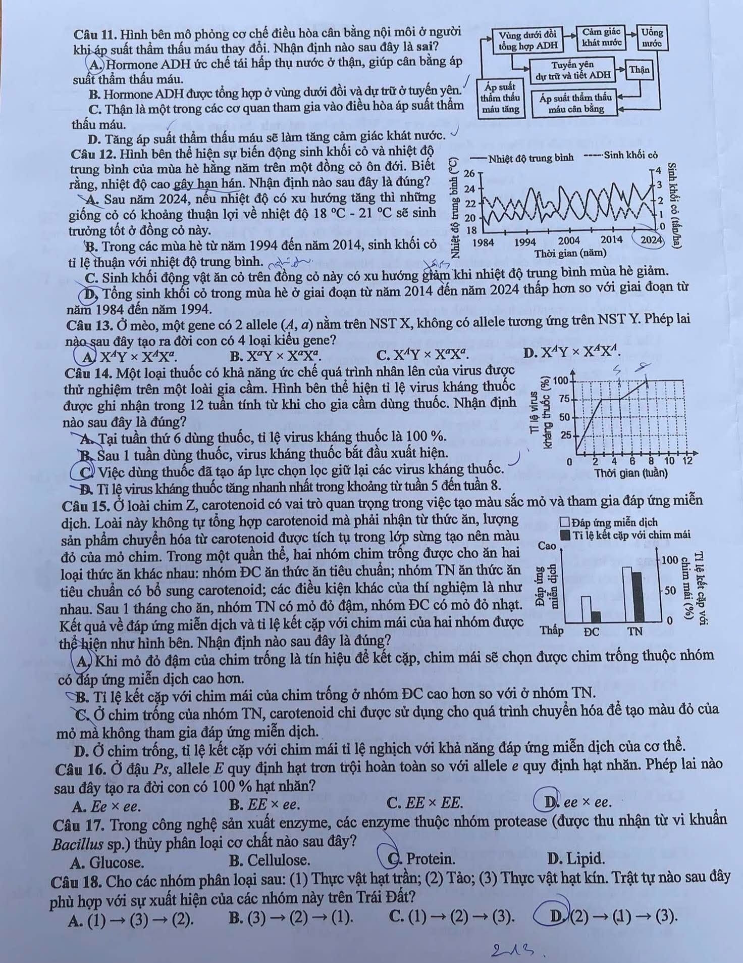 base64-1781236840804928463971 Đáp án đề thi môn Sinh học tốt nghiệp THPT 2026 tất cả mã đề - Ảnh 3.
