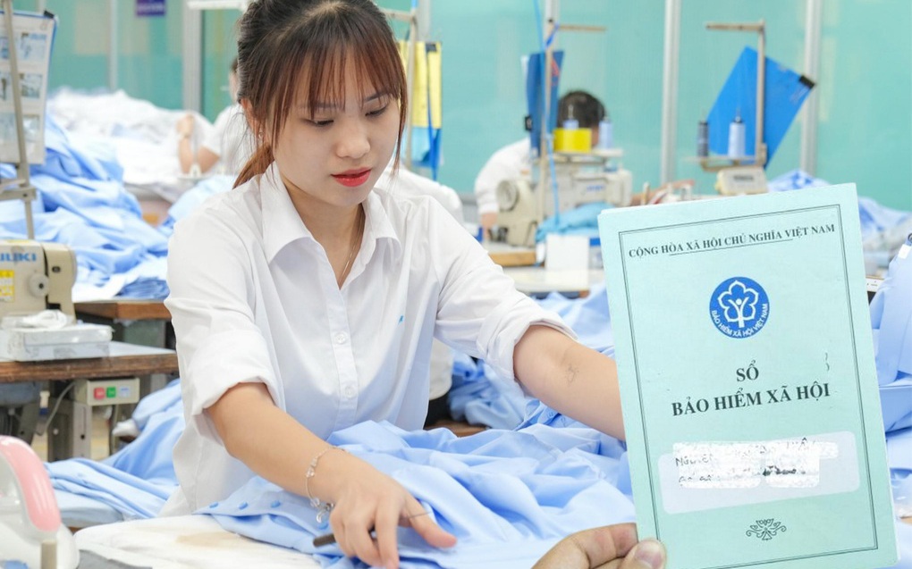 3 danh mục vị trí việc làm khung của viên chức- Ảnh 2.
