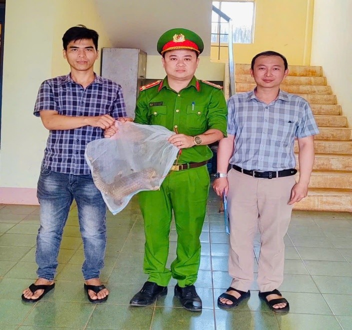 Hai động vật hoang dã nguy cấp, quý, hiếm được thả về môi trường tự nhiên - Ảnh 3.
