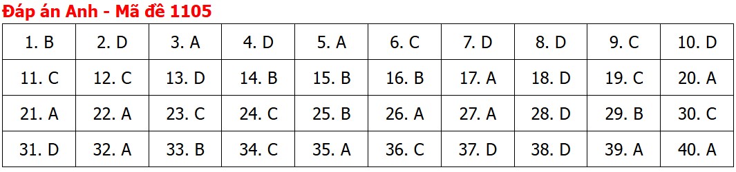 Đề thi, đáp án môn Tiếng Anh tốt nghiệp THPT 2026 tất cả mã đề - Ảnh 9.