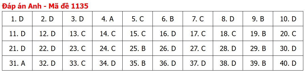 Đề thi, đáp án môn Tiếng Anh tốt nghiệp THPT 2026 tất cả mã đề - Ảnh 40.