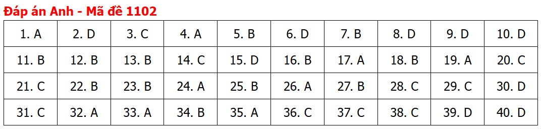Đề thi, đáp án môn Tiếng Anh tốt nghiệp THPT 2026 tất cả mã đề - Ảnh 6.