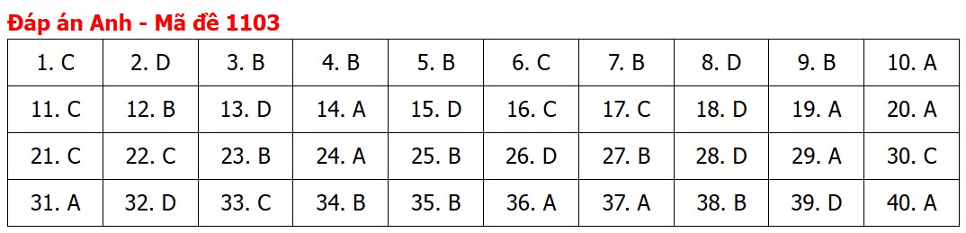 Đề thi, đáp án môn Tiếng Anh tốt nghiệp THPT 2026 tất cả mã đề - Ảnh 7.