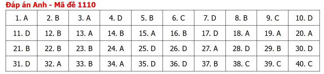 Đề thi, đáp án môn Tiếng Anh tốt nghiệp THPT 2026 tất cả mã đề - Ảnh 13.