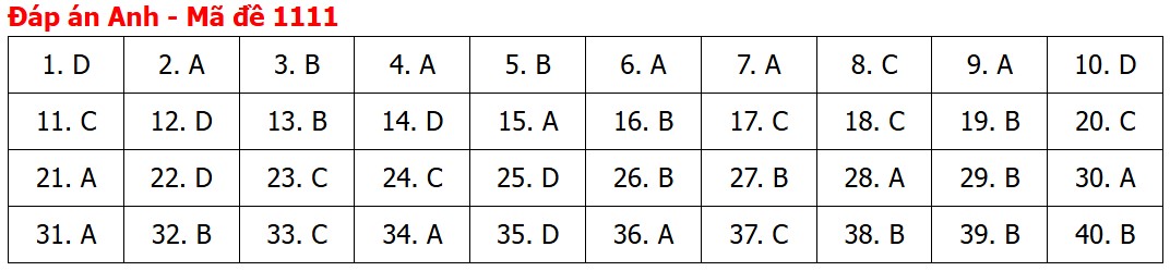 Đề thi, đáp án môn Tiếng Anh tốt nghiệp THPT 2026 tất cả mã đề - Ảnh 15.