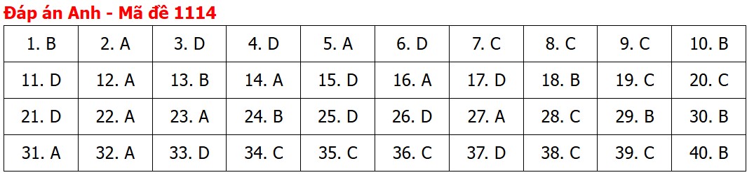 Đề thi, đáp án môn Tiếng Anh tốt nghiệp THPT 2026 tất cả mã đề - Ảnh 18.