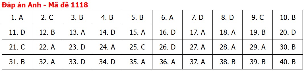 Đề thi, đáp án môn Tiếng Anh tốt nghiệp THPT 2026 tất cả mã đề - Ảnh 22.