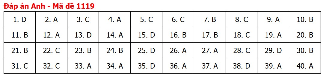 Đề thi, đáp án môn Tiếng Anh tốt nghiệp THPT 2026 tất cả mã đề - Ảnh 23.