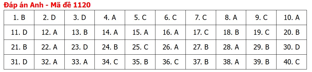 Đề thi, đáp án môn Tiếng Anh tốt nghiệp THPT 2026 tất cả mã đề - Ảnh 24.