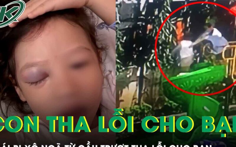 Bé gái bị xô ngã từ cầu trượt cao 1,5m: “Con tha lỗi cho bạn rồi ạ!”
