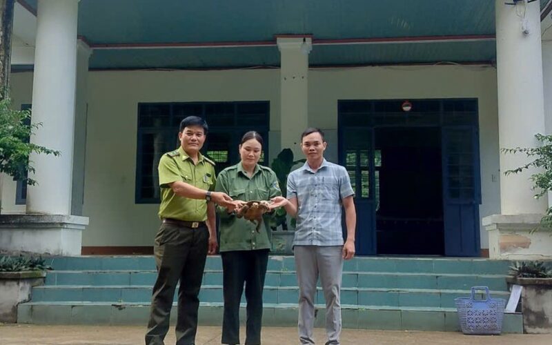 Người dân phát hiện ‘loài vật rất quý’ liền mang về giao nộp cho chính quyền