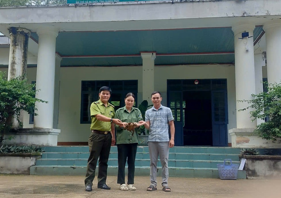 dv-1781663327125148026914 Người dân phát hiện 'loài vật rất quý' liền mang về giao nộp cho chính quyền- Ảnh 1.