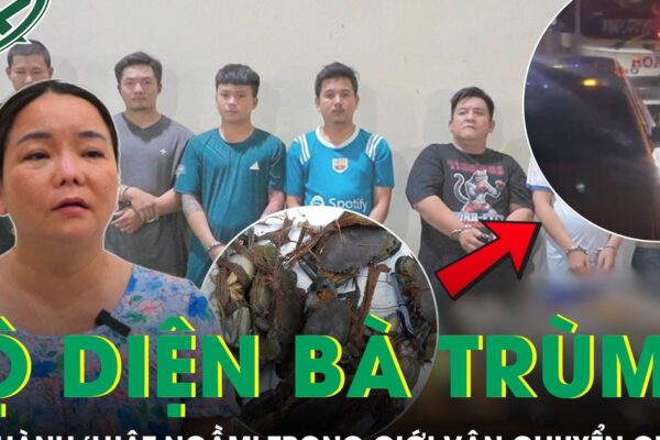 Lộ diện bà trùm Chành cua 46 điều hành ‘luật ngầm’, ai không theo sẽ bị trả đũa
