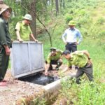 Nguy cơ cháy rừng gia tăng giữa cao điểm nắng nóng ở Huế