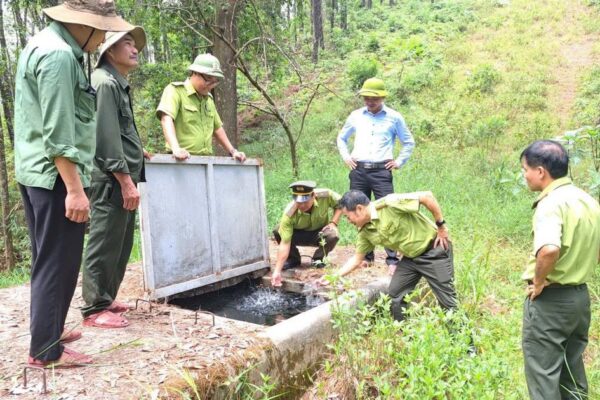 Nguy cơ cháy rừng gia tăng giữa cao điểm nắng nóng ở Huế