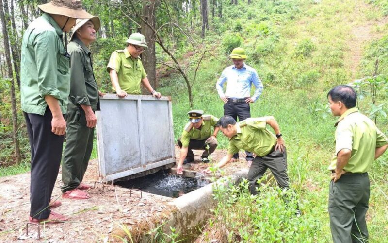 Nguy cơ cháy rừng gia tăng giữa cao điểm nắng nóng ở Huế