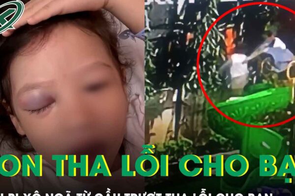 Bé gái bị xô ngã từ cầu trượt cao 1,5m: “Con tha lỗi cho bạn rồi ạ!”