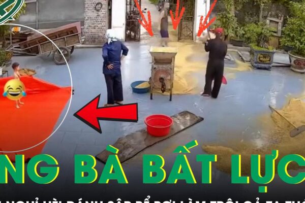 Ông bà bất lực khi ‘khối nghỉ hè’ nghịch sập ‘bể bơi’, làm trôi cả tạ thóc